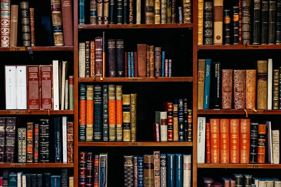 Shelves of books