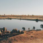 Minority Students in Study Abroad: Visiting Zimbabwe