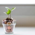 Coins and a growing plant