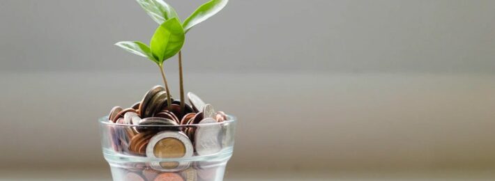 Coins and a growing plant