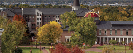 university campus in the summer