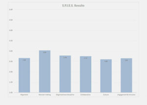 SPIES: Strategic Planning Implementation and Execution Survey: screen shot of a graph