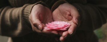 Empathy: Photo of two hands holding a flower