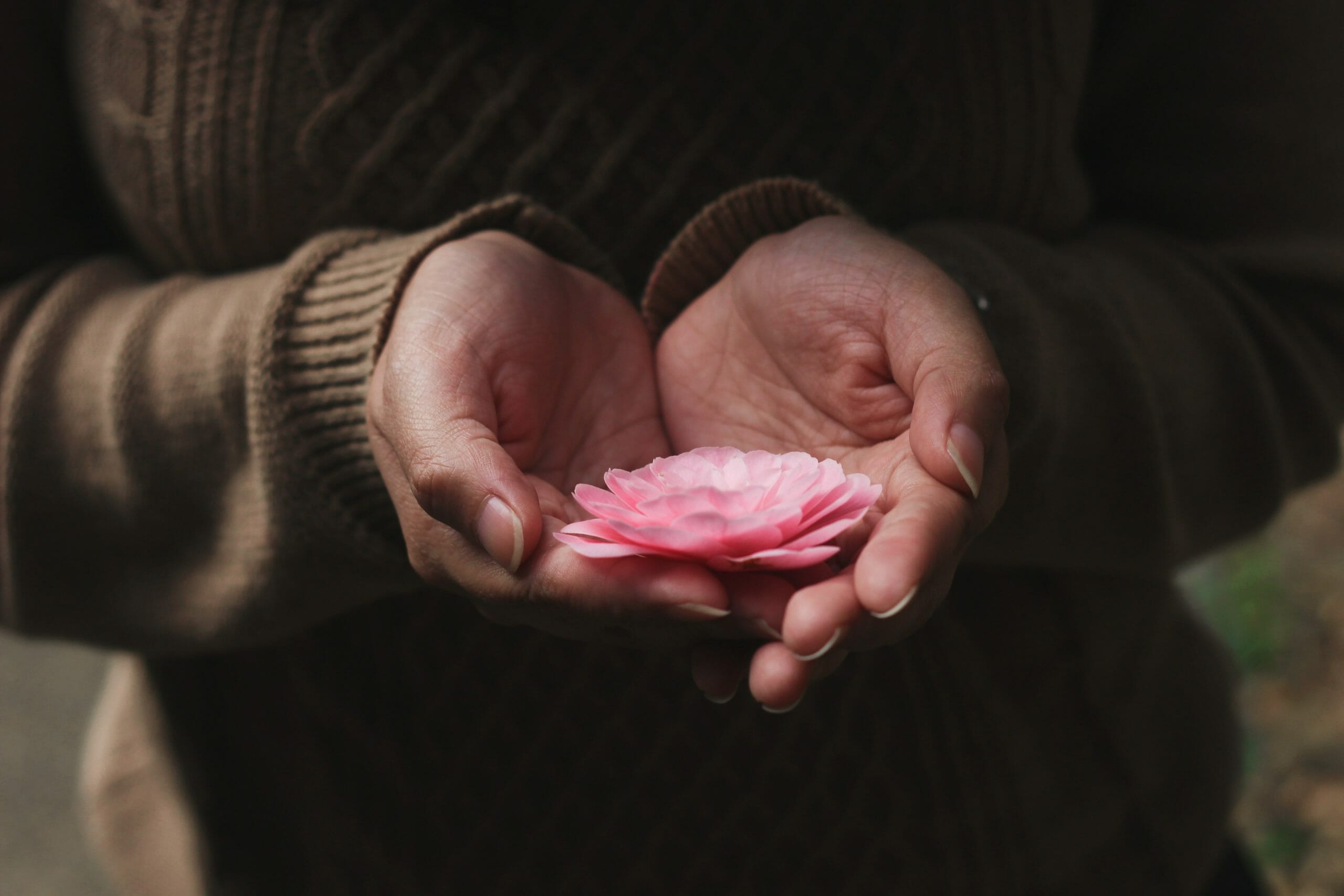 Empathy: Photo of two hands holding a flower