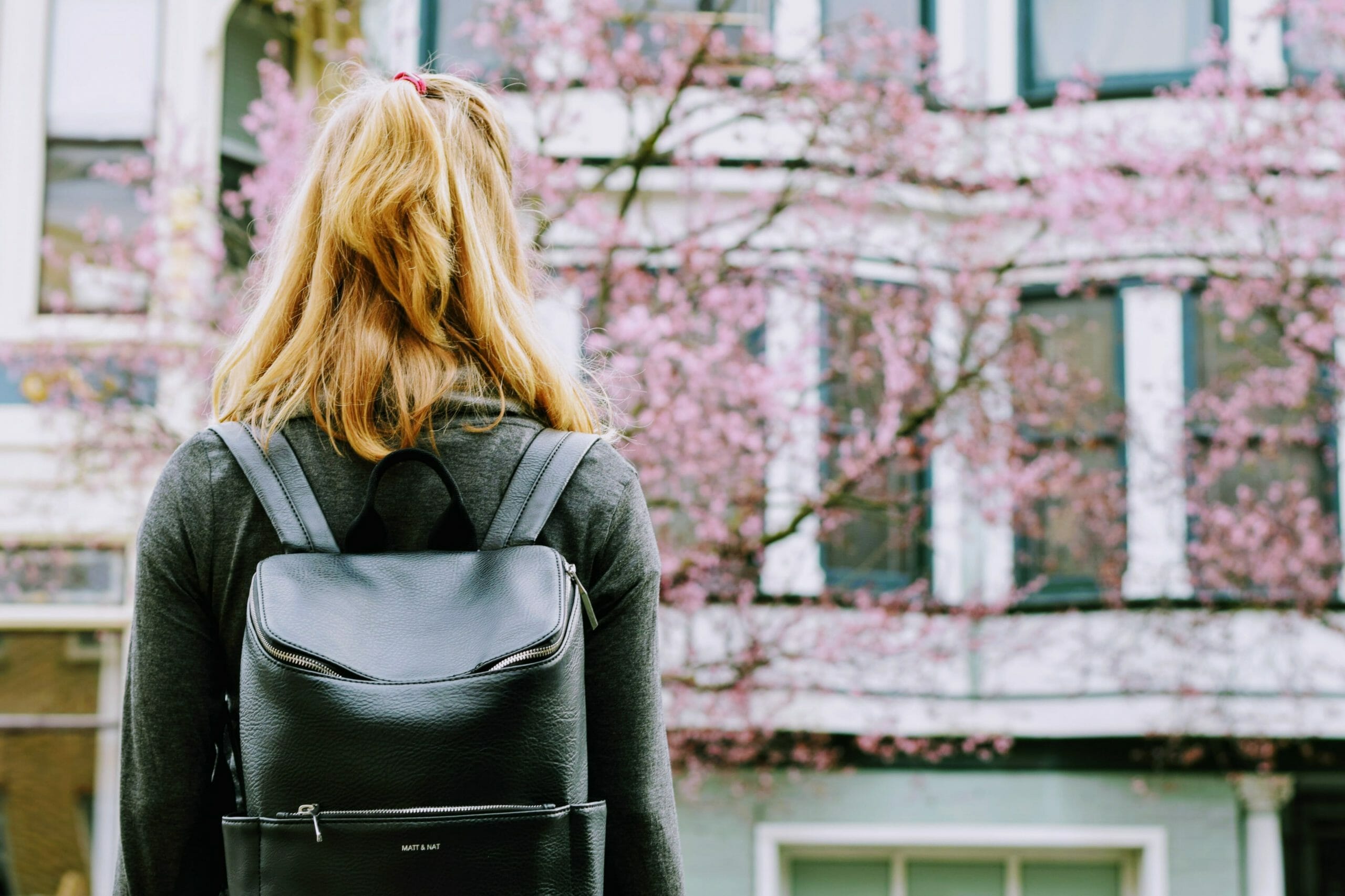 student with a backpack looking at a lush cherry tree