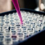 Research Grants: Image of an experiment at a robotics laboratory