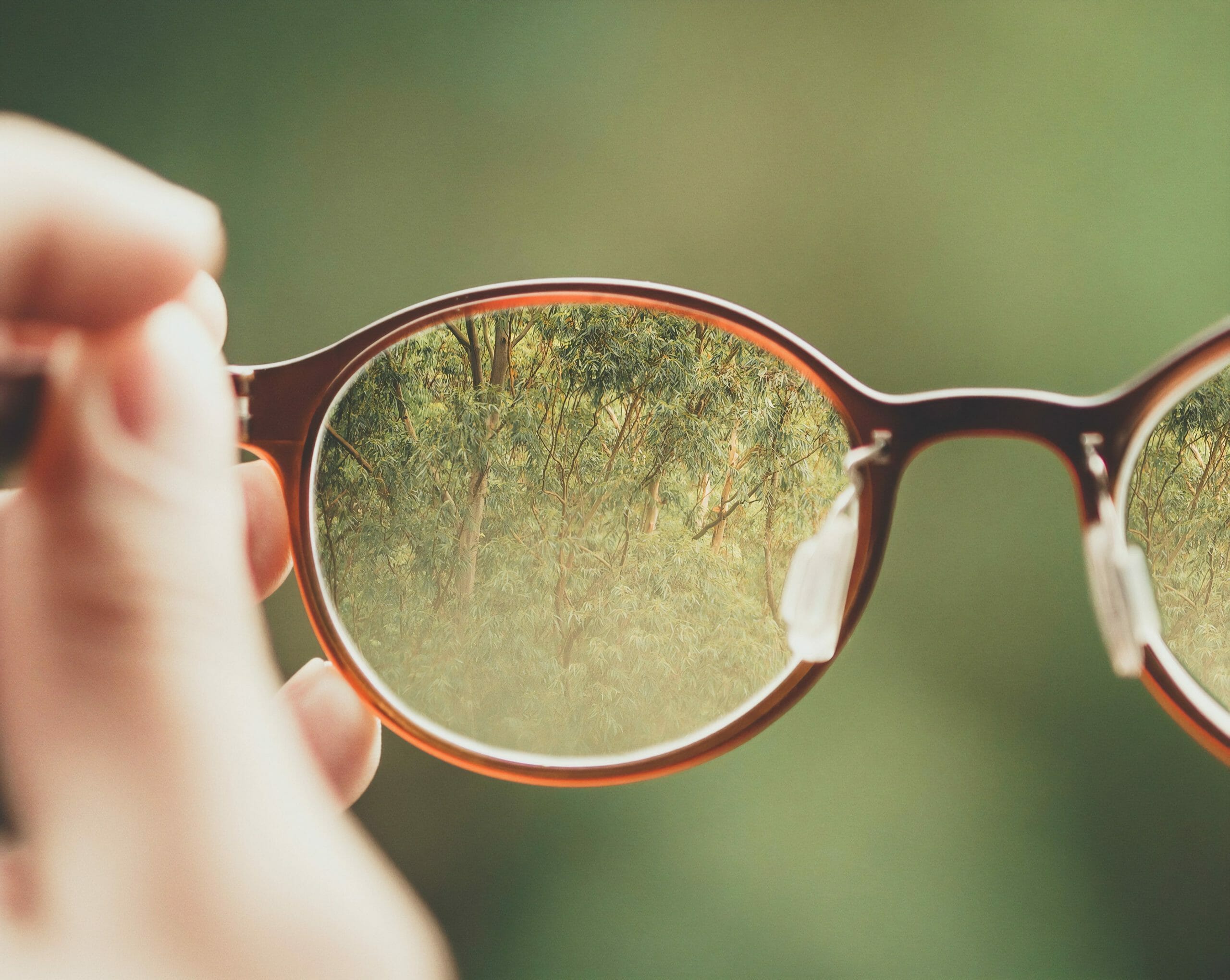 Challenging Andocentrism - Recognizing Women's Vision - Photo of Forest Seen Through Glasses