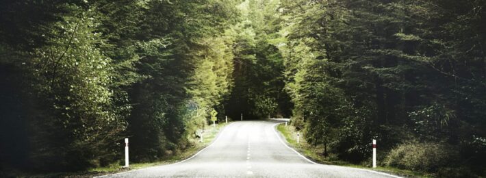 Open road in area with lots of forrest