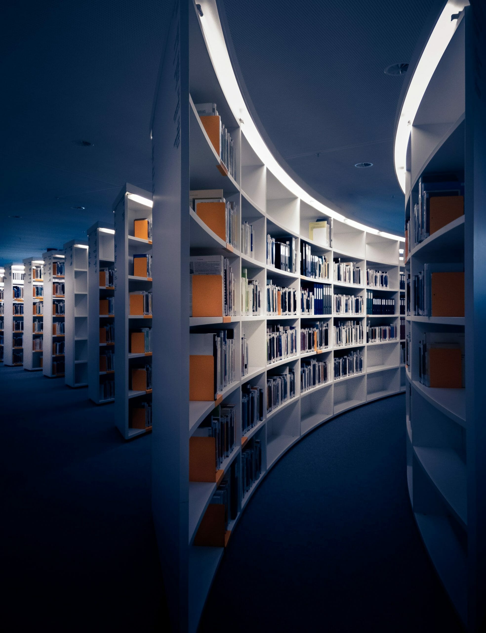 Gender Bias in the Academy - Image of an Academic Library