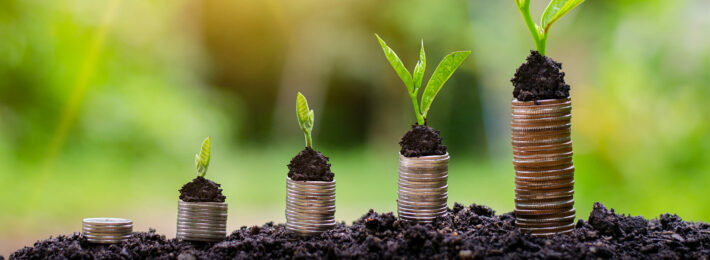 Plants growing out of coins