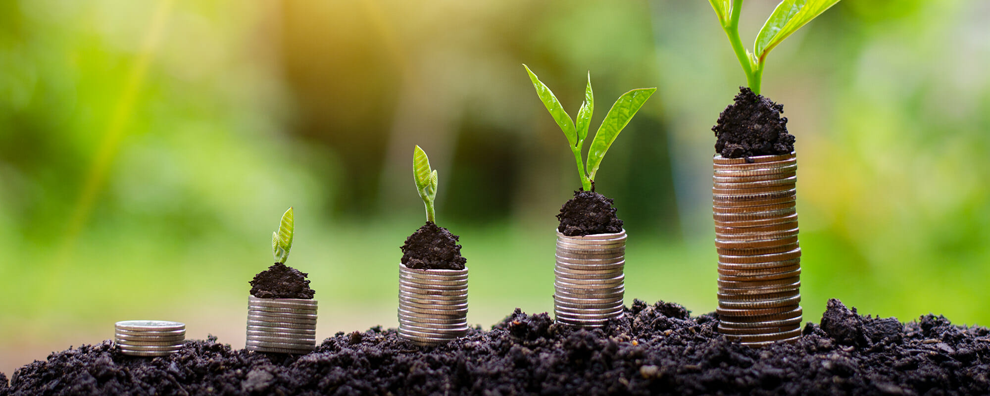 Plants growing out of coins