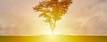 mental health in higher education