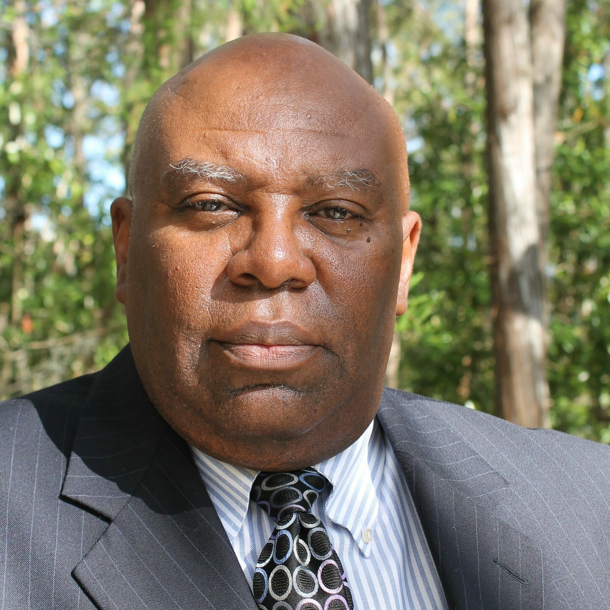 Wayne Jackson Academic Impressions