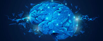 Vector image of brain