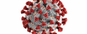 Coronavirus visualization from the CDC