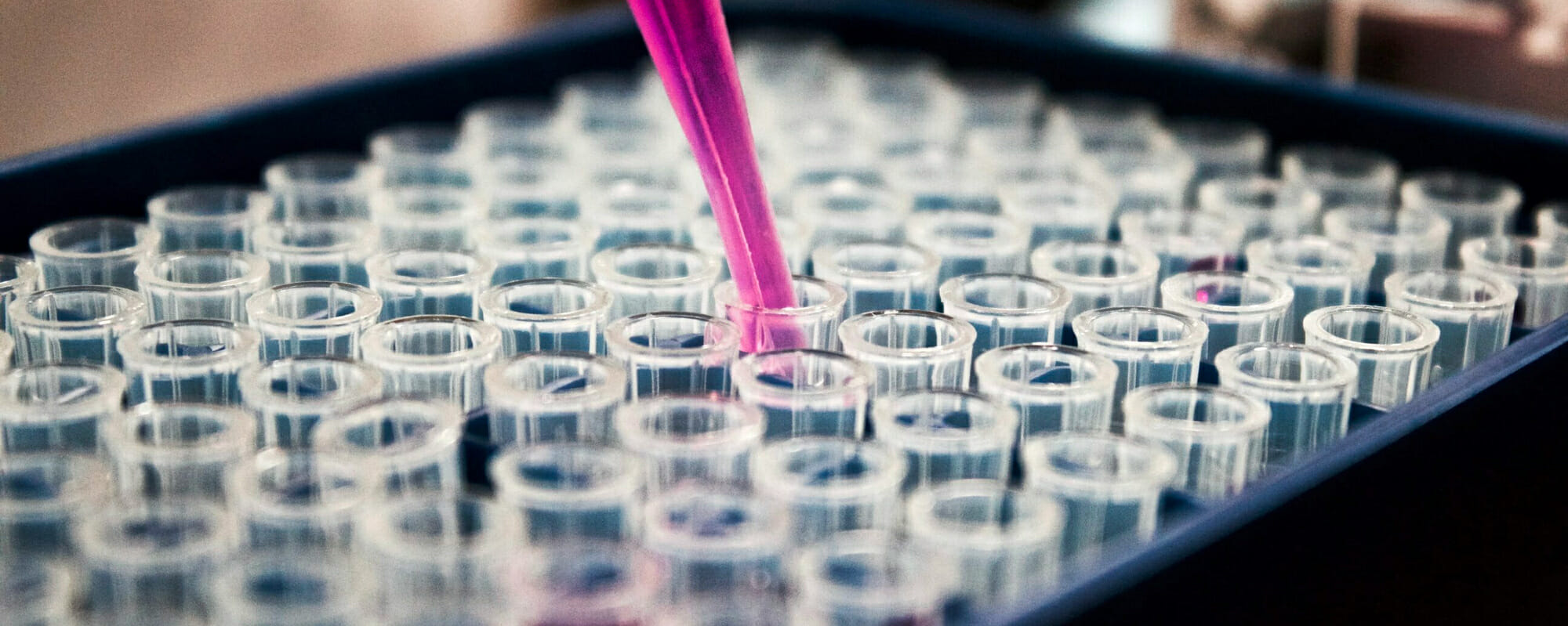 Pink liquid being poured