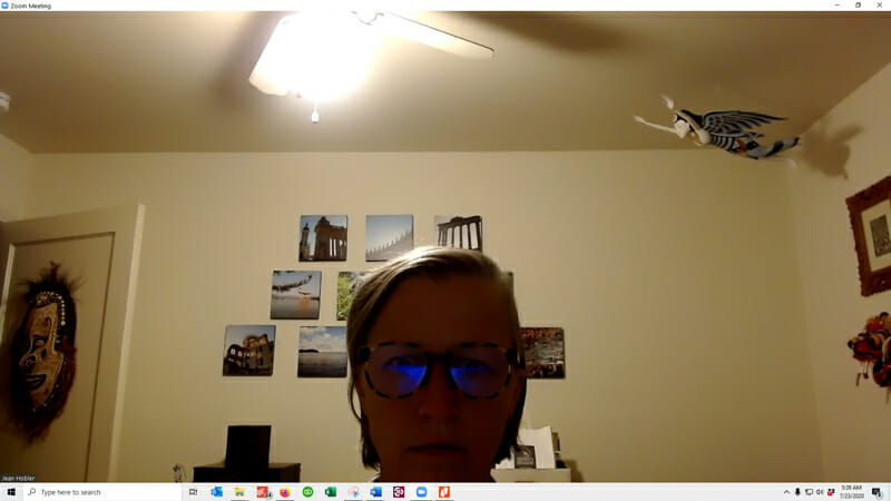 Before Webcam video call screenshot