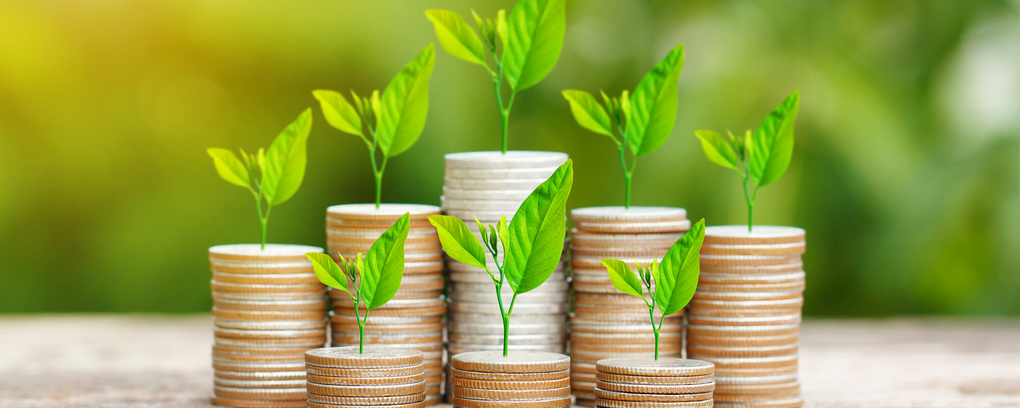 small seedlings growing out of stacks of coins