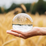 Female hand holding a clear crystal ball