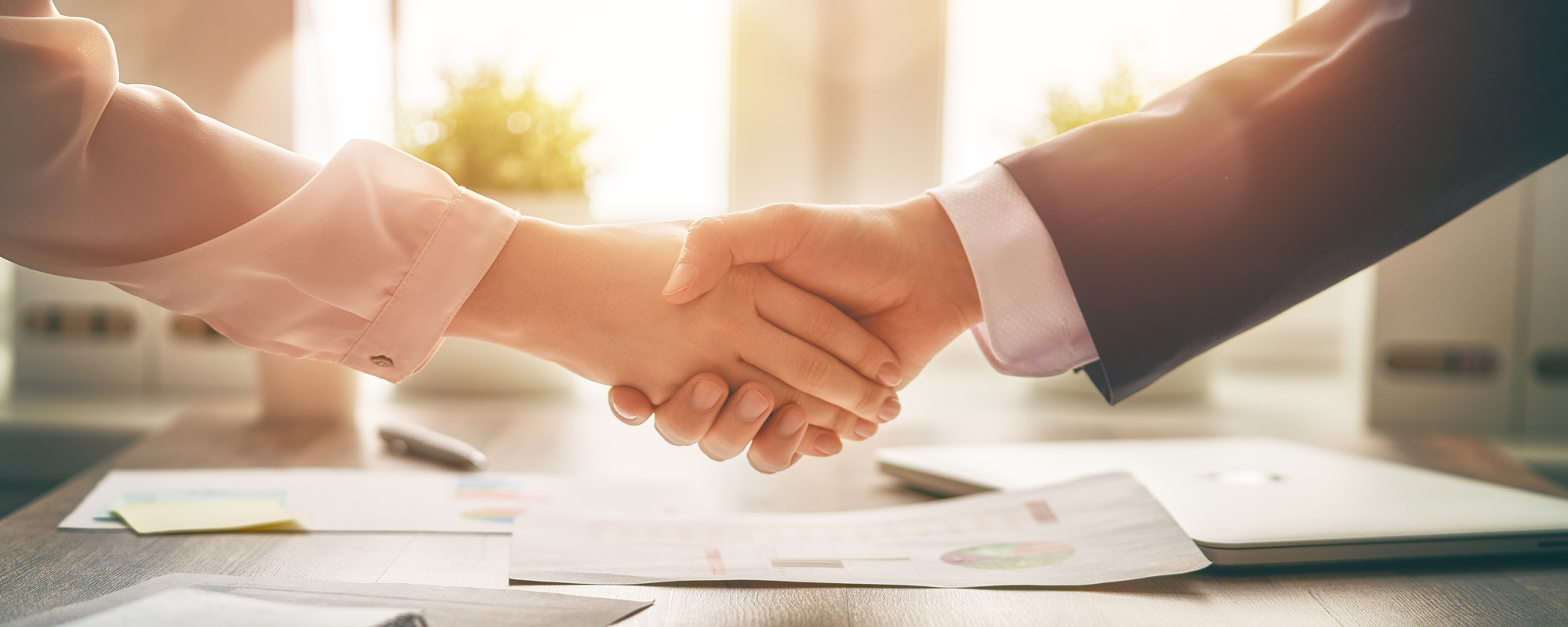 Professionals shaking hands in an office