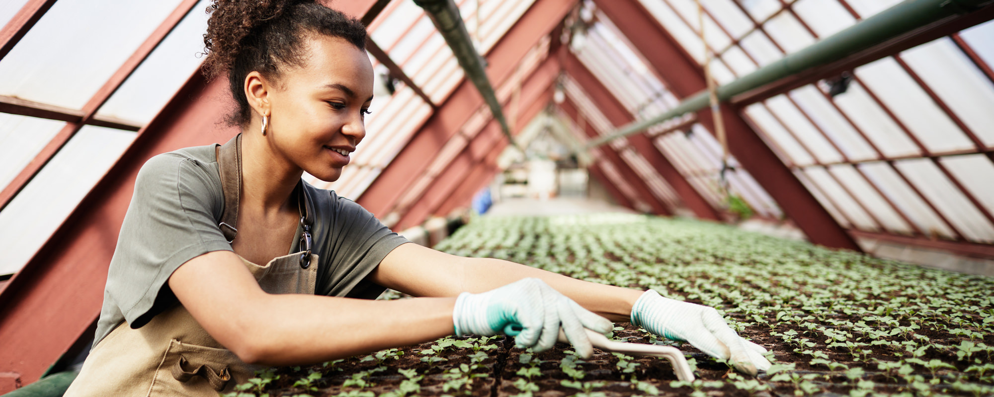 Young adult gardening