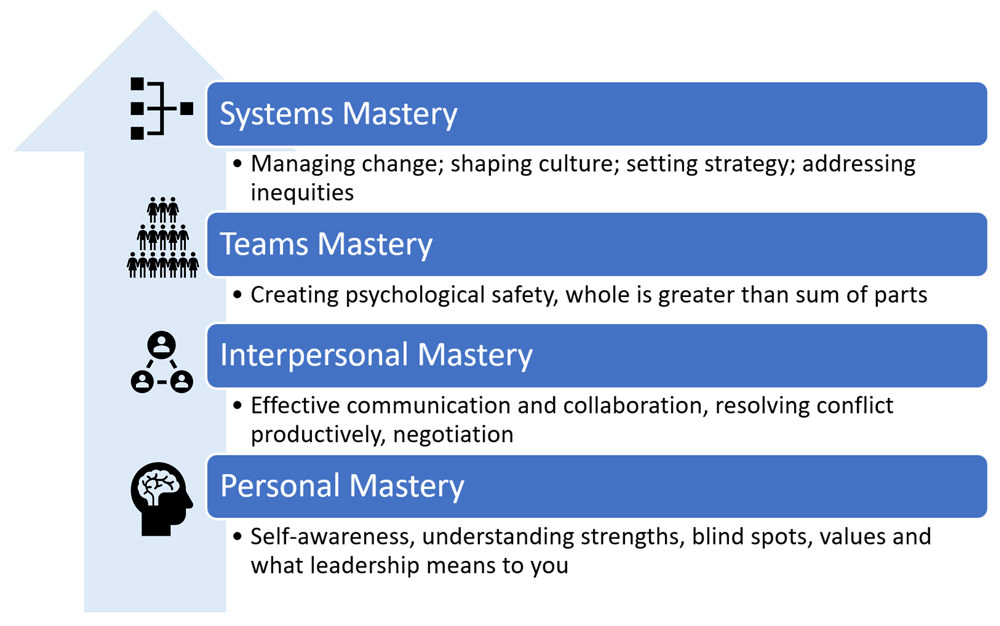 4 Levels of Leadership Mastery image